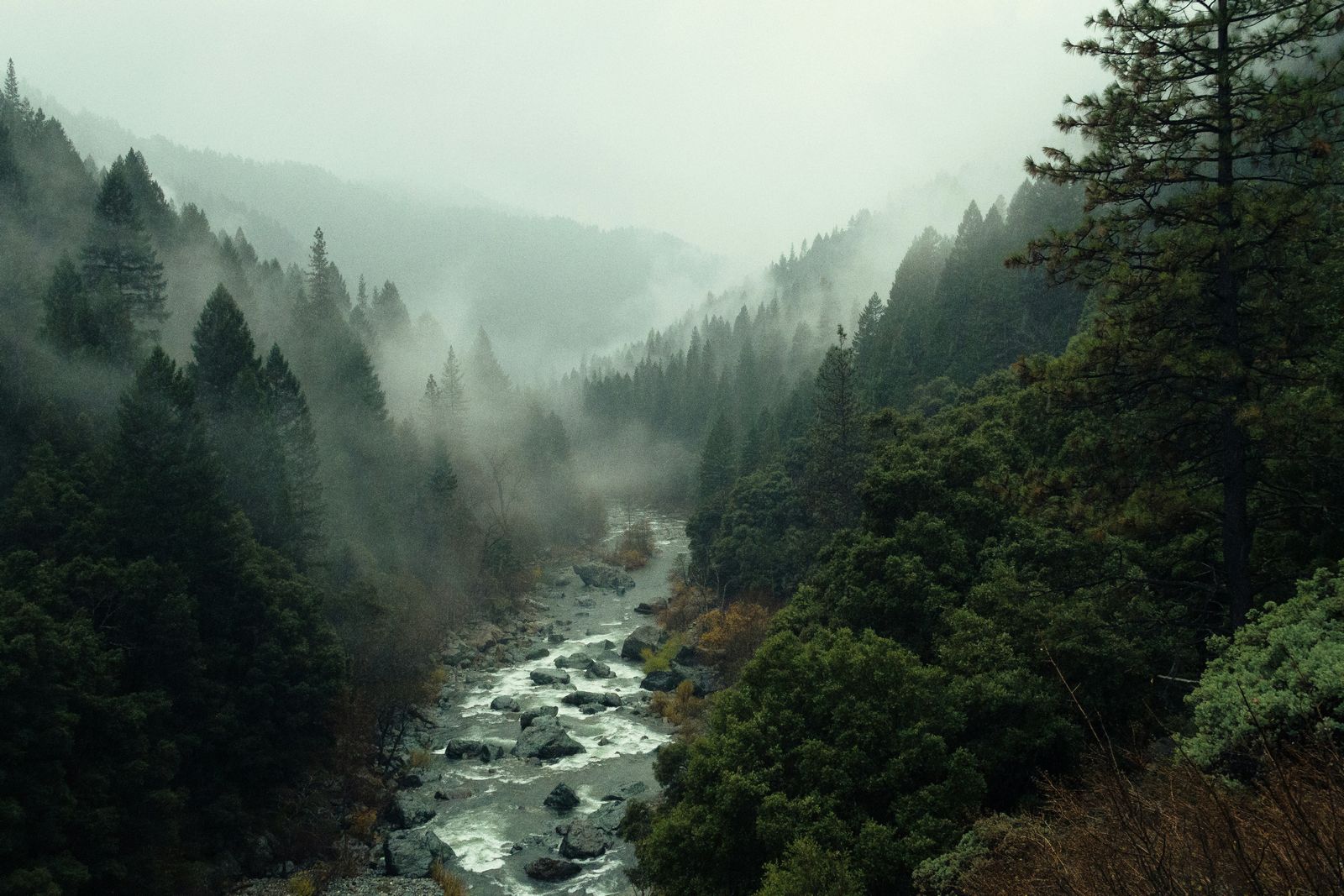 Русло — Pine Watt